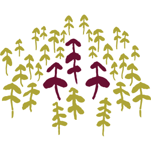Responsabilité sociale et environnementale